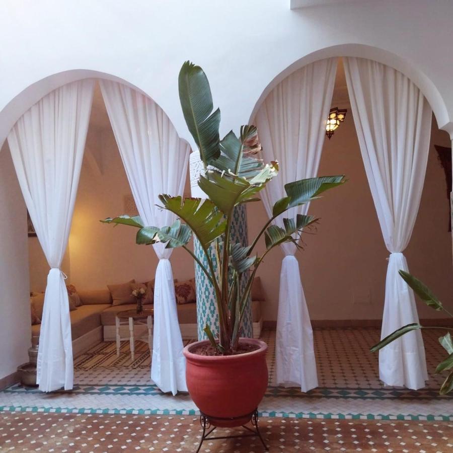 מרקש Riad El Arco Rooftop Pool & Spa מראה חיצוני תמונה