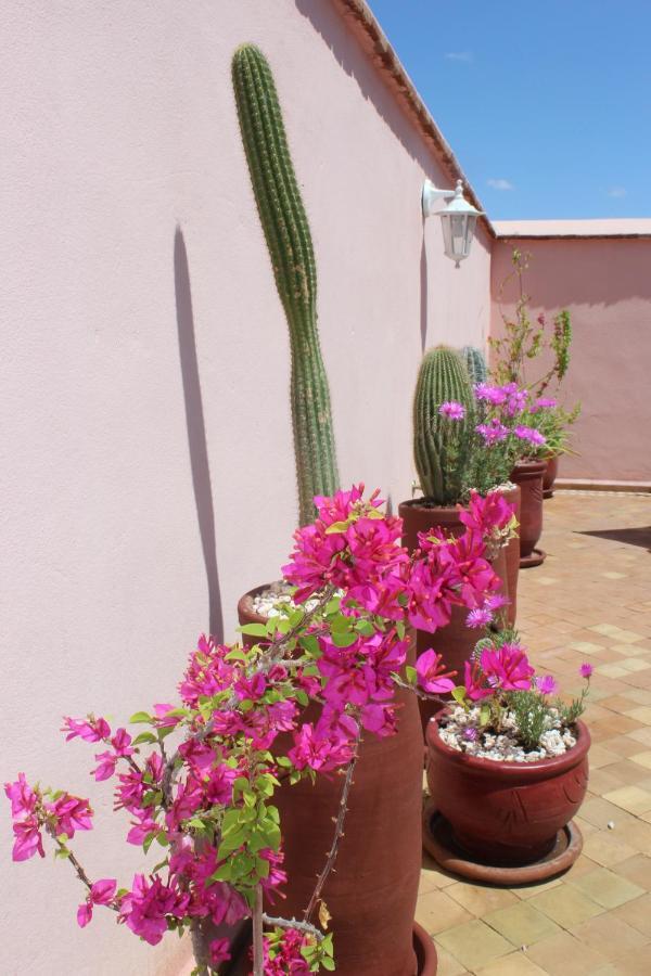 מרקש Riad El Arco Rooftop Pool & Spa מראה חיצוני תמונה